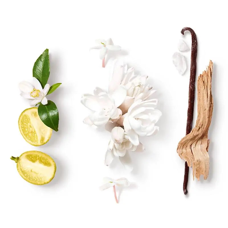 Best Floral Oriental Perfumes
