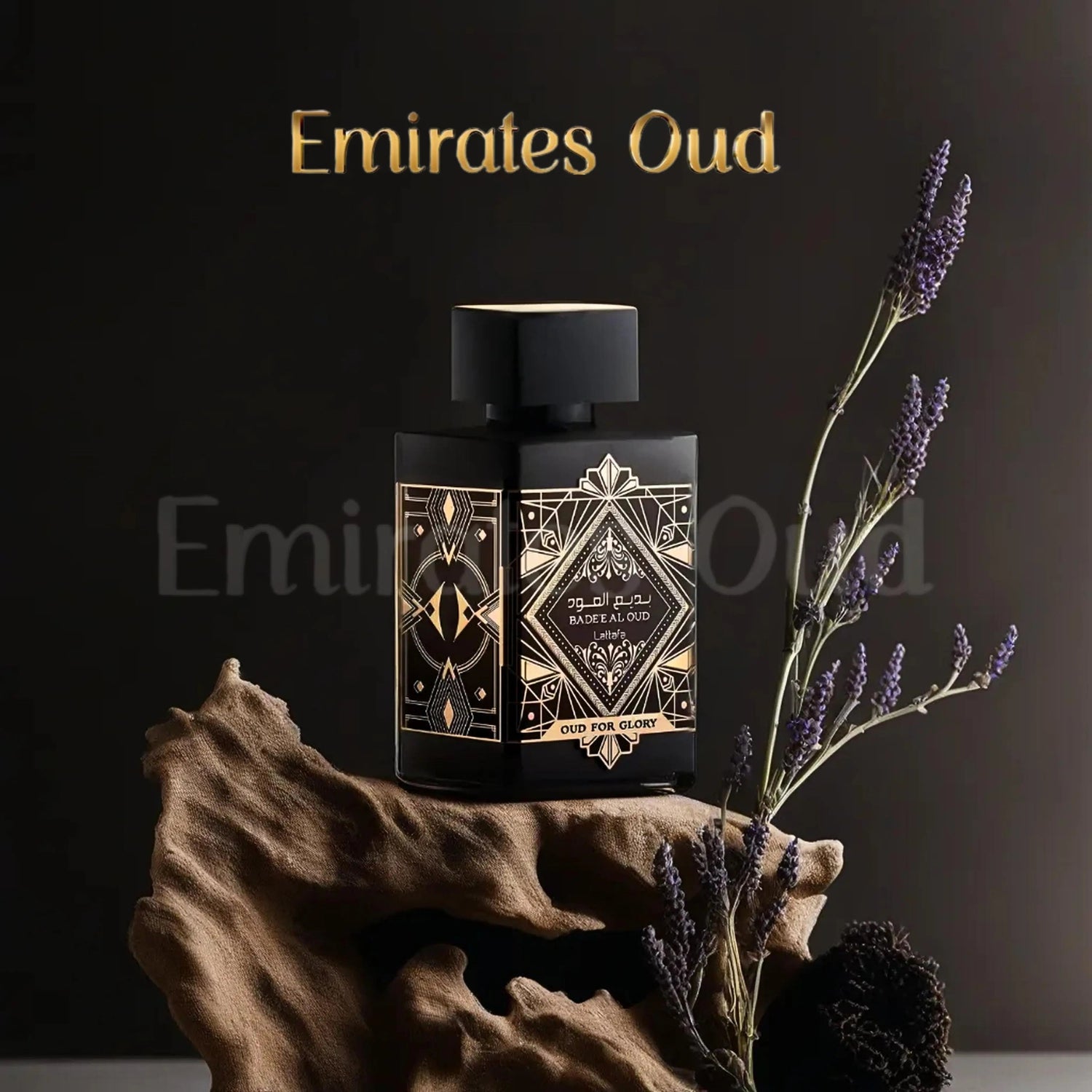 Cheap Arabic Perfume Collection