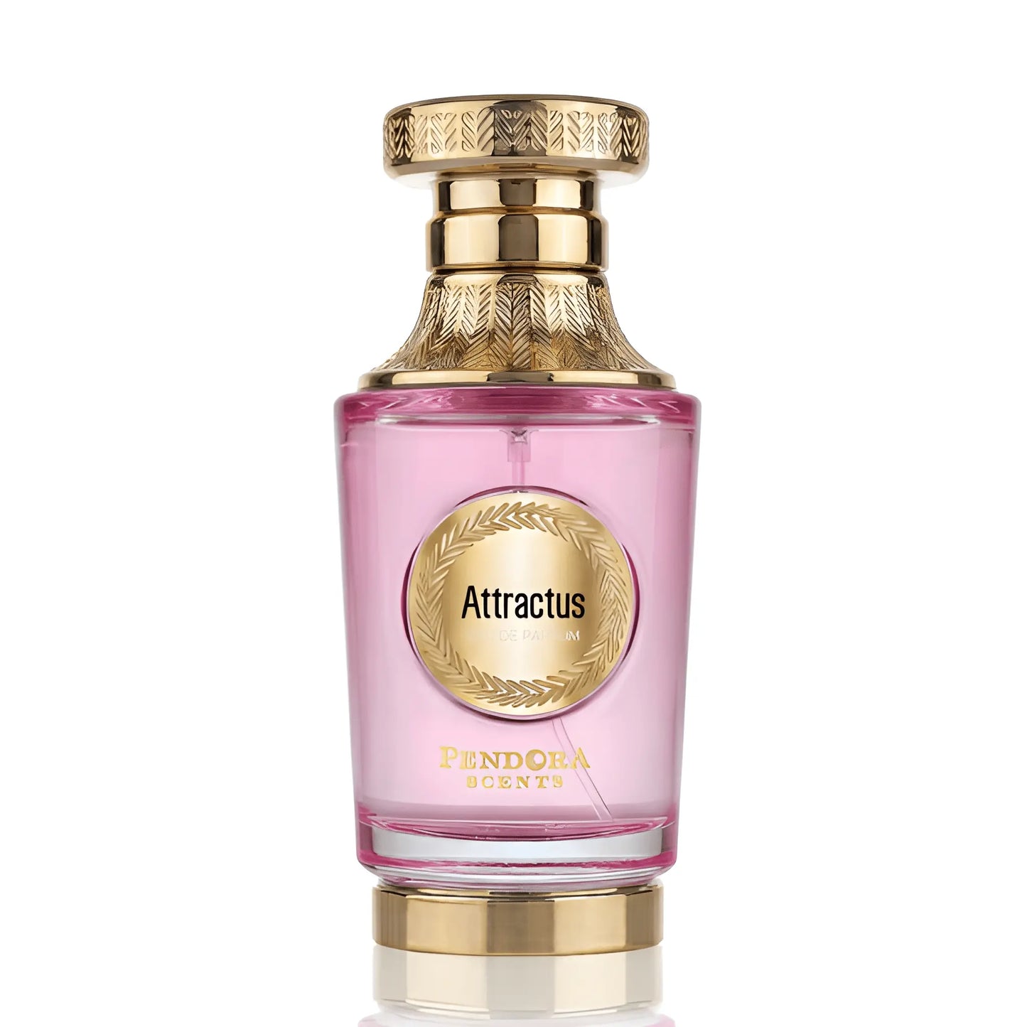 Attractus Perfume 100ml EDP Pendora Scents by Paris Corner