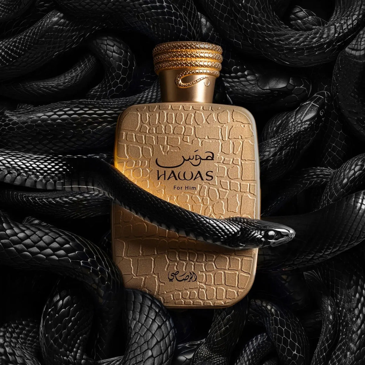 Hawas Viper Perfume 100ml EDP Rasasi | Men Fragrance