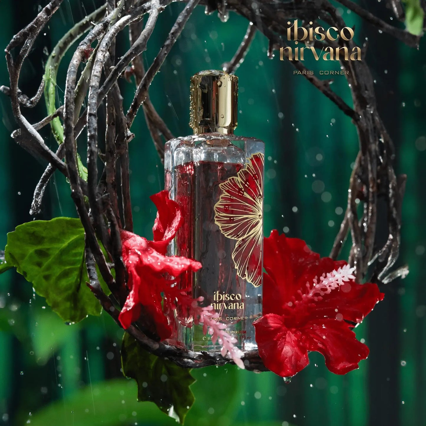 Ibisco Nirvana Perfume 65ml EDP Paris Corner