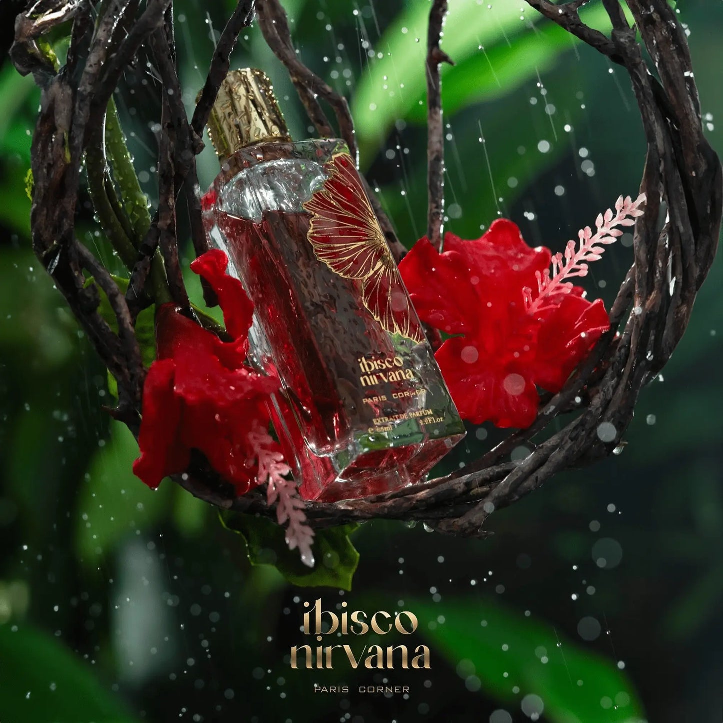Ibisco Nirvana Perfume 65ml EDP Paris Corner