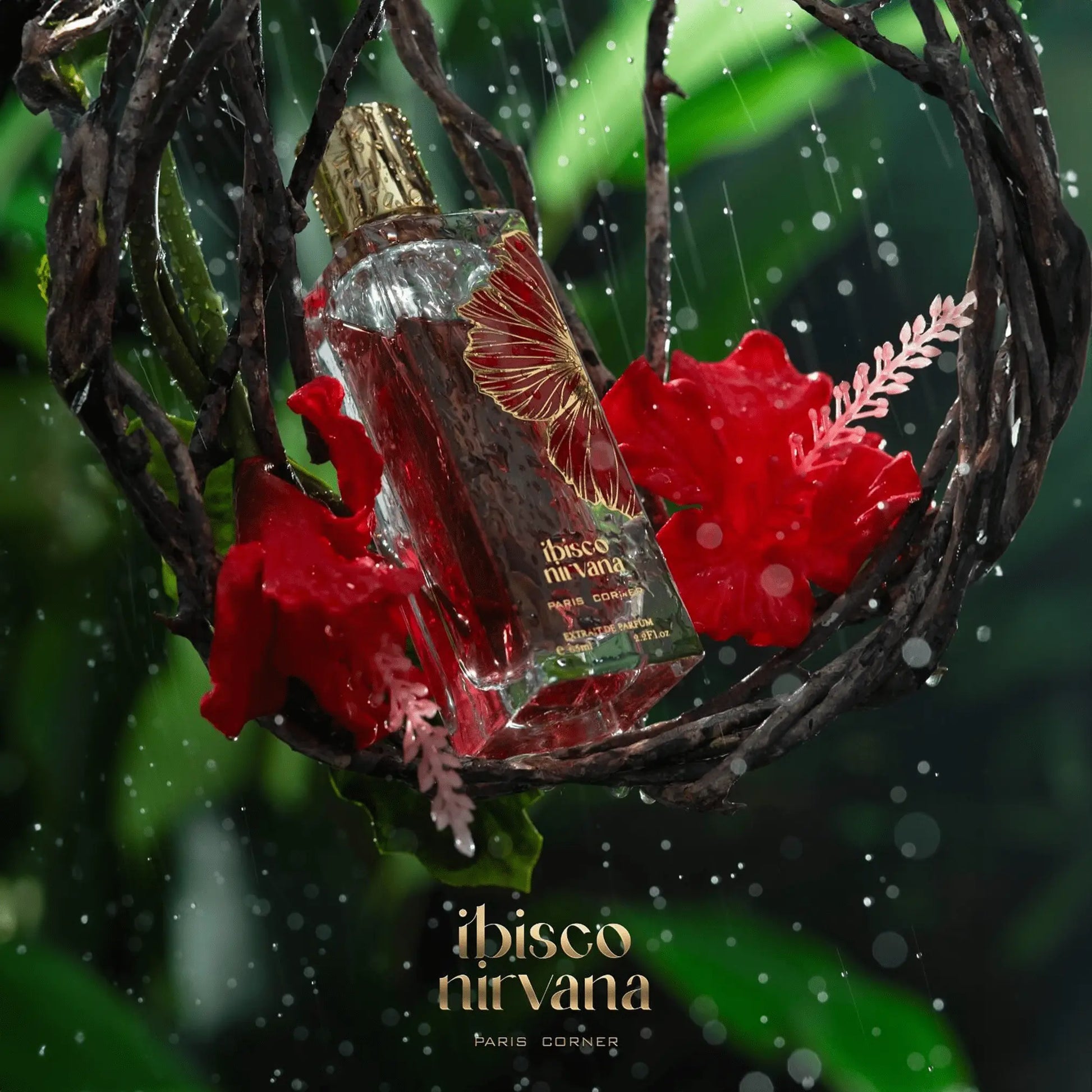 Ibisco Nirvana Perfume 65ml EDP Paris Corner