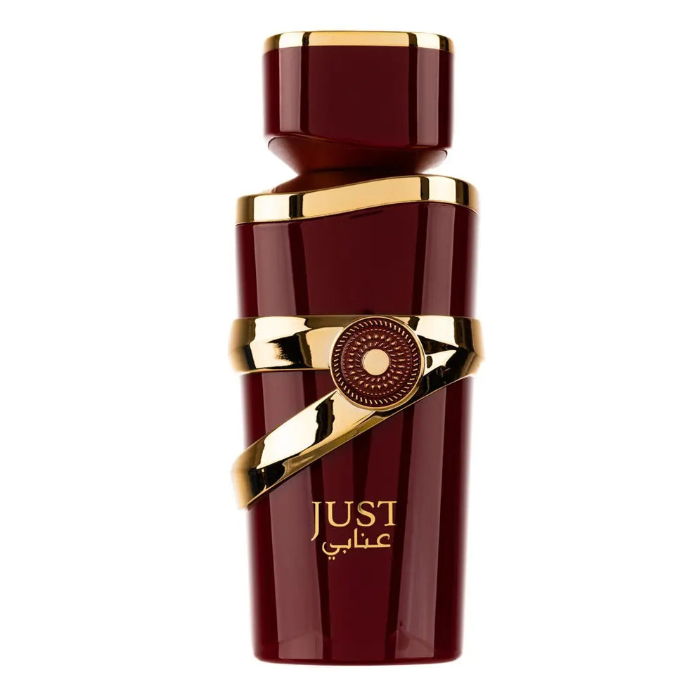 Just Anabi Perfume 100ml EDP Fragrance World