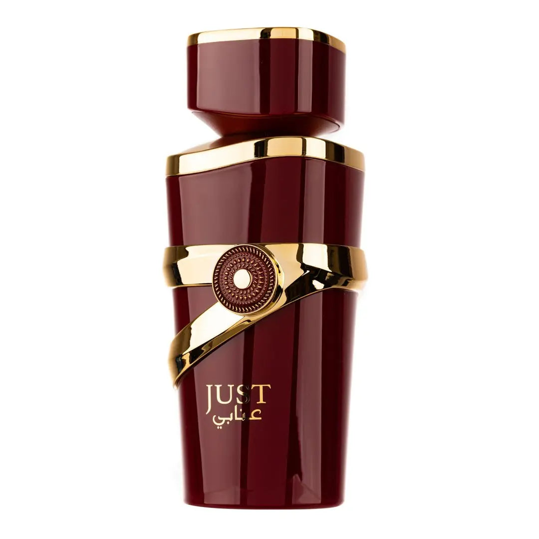 Just Anabi Perfume 100ml EDP Fragrance World