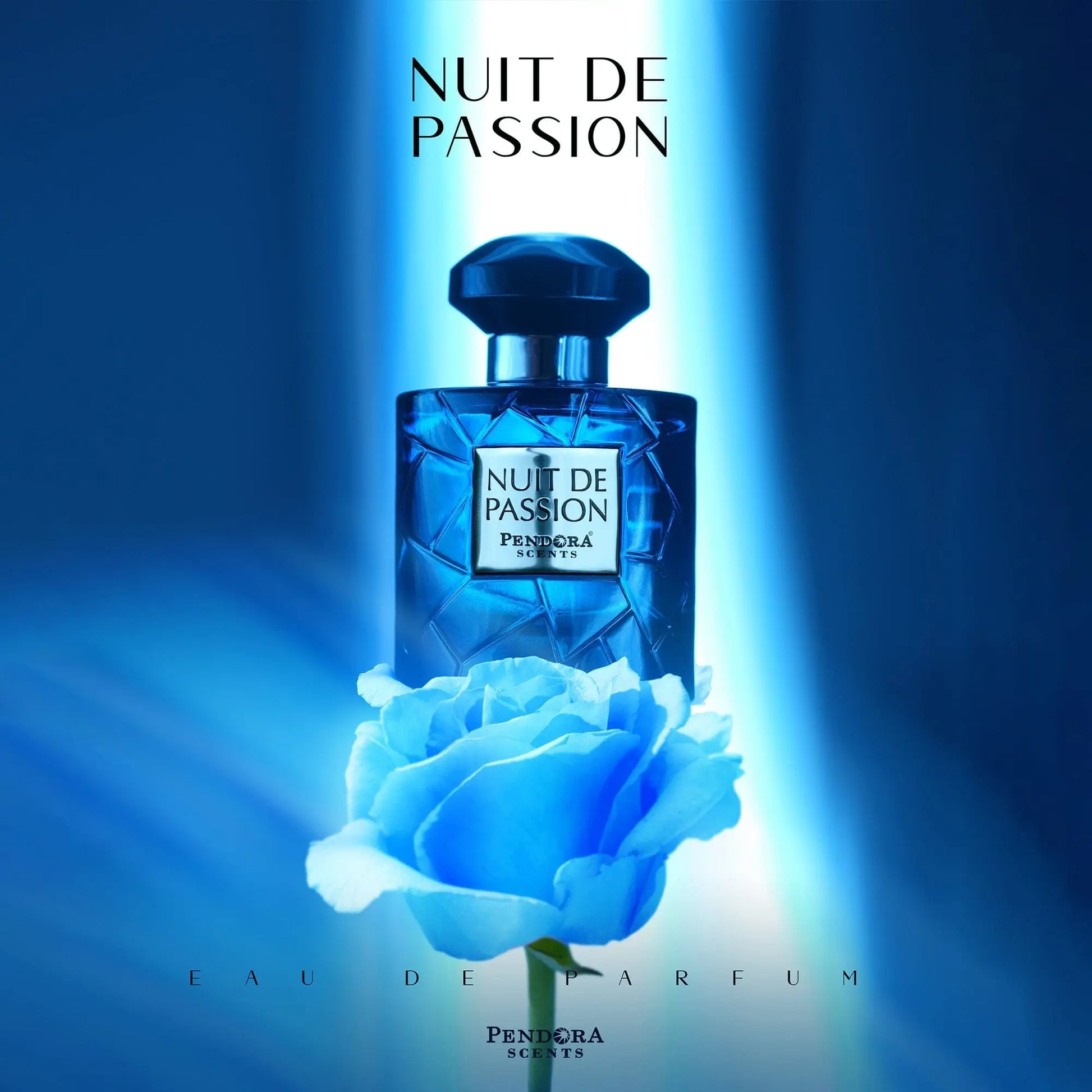 Nuit De Passion 100ml EDP Pendora Scents by Paris Corner