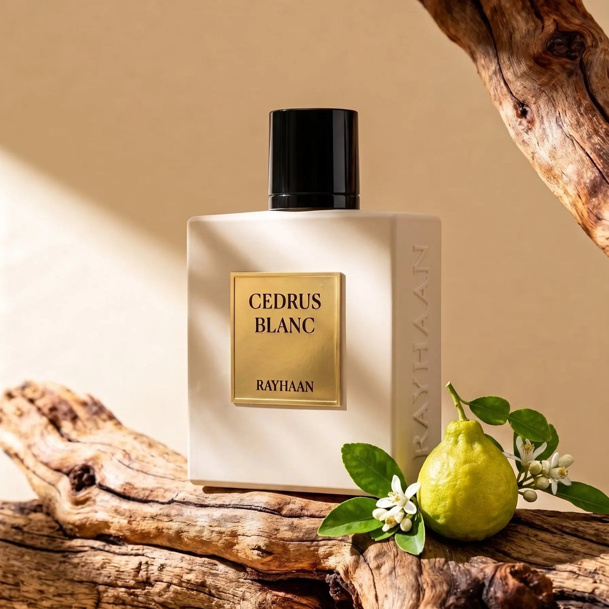 Rayhaan Cedrus Blanc Perfume 100ml EDP by Rayhaan