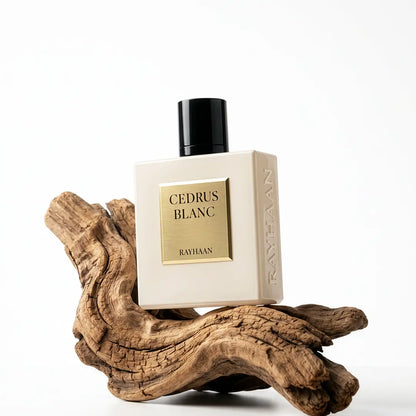 Rayhaan Cedrus Blanc Perfume 100ml EDP by Rayhaan