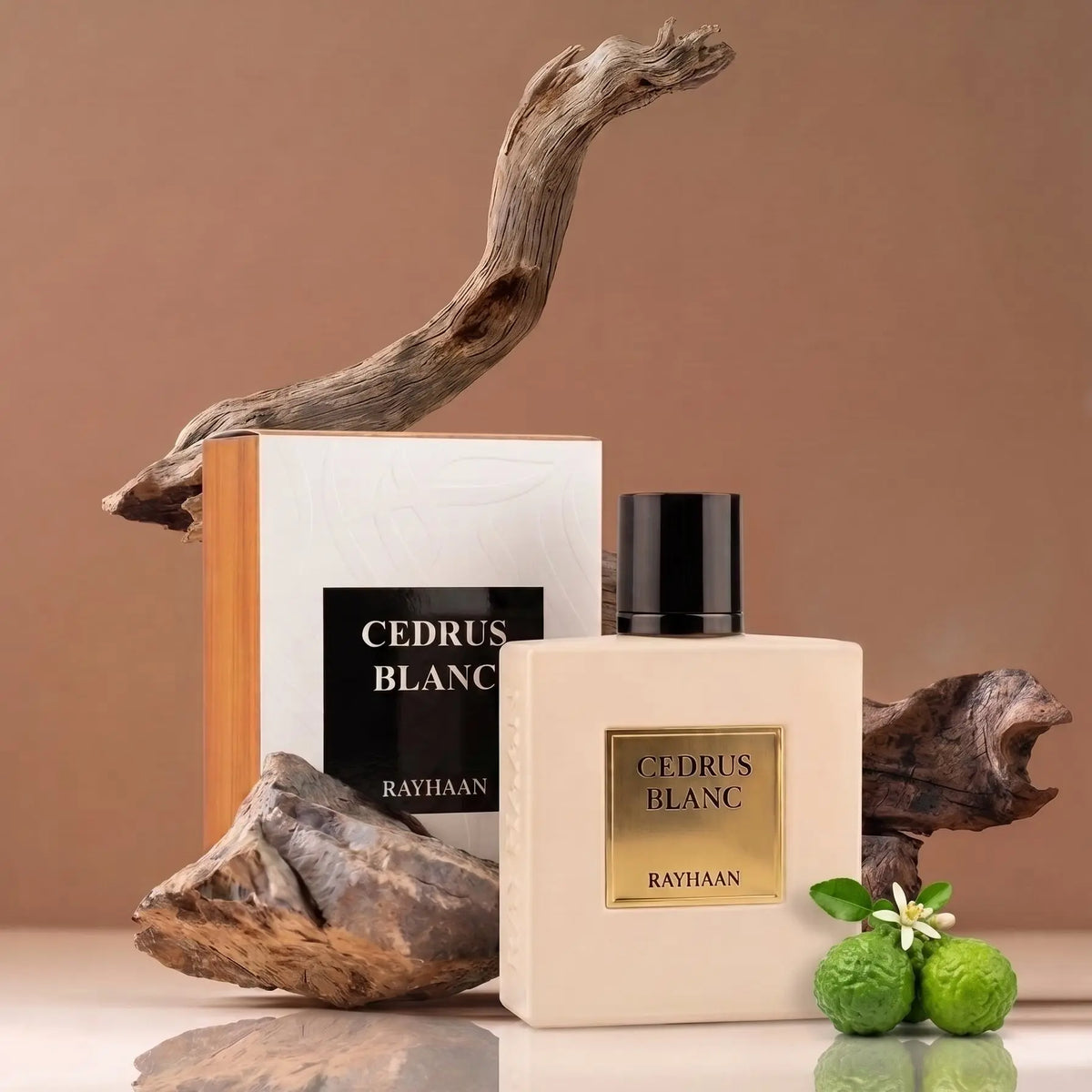 Rayhaan Cedrus Blanc Perfume 100ml EDP by Rayhaan