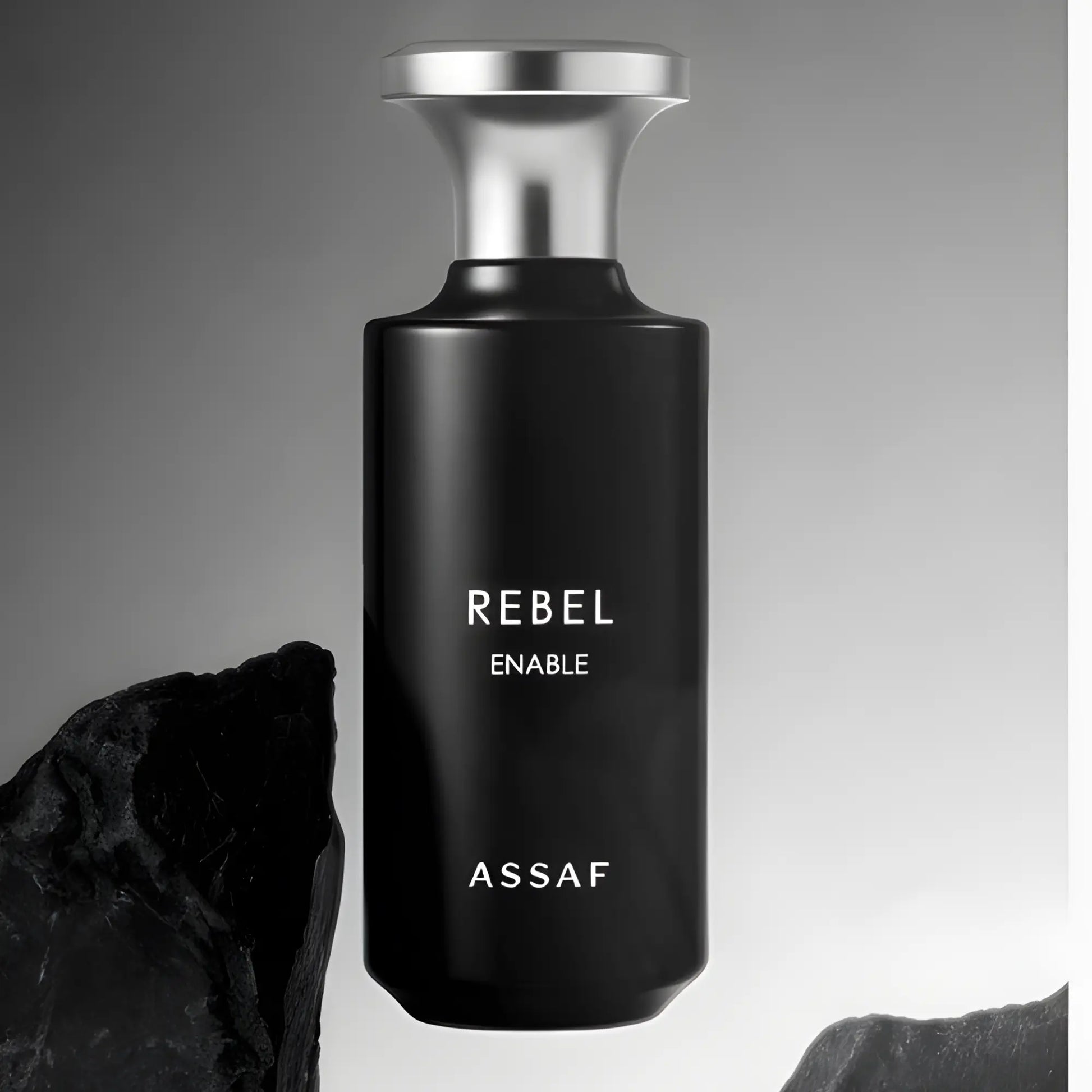 Rebel Enable Perfume 150ml EDP Assaf