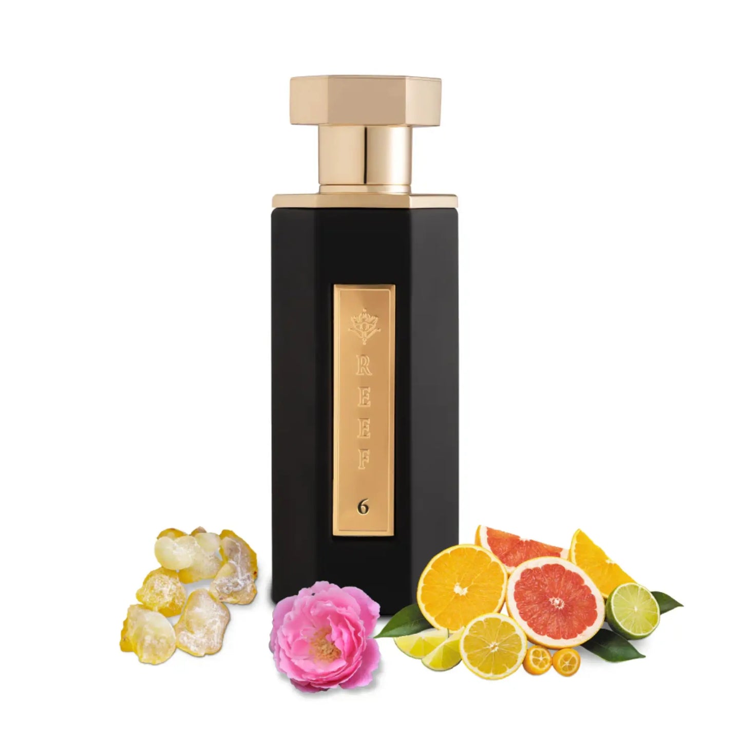 Reef 06 EDP 100ml Reef Perfumes