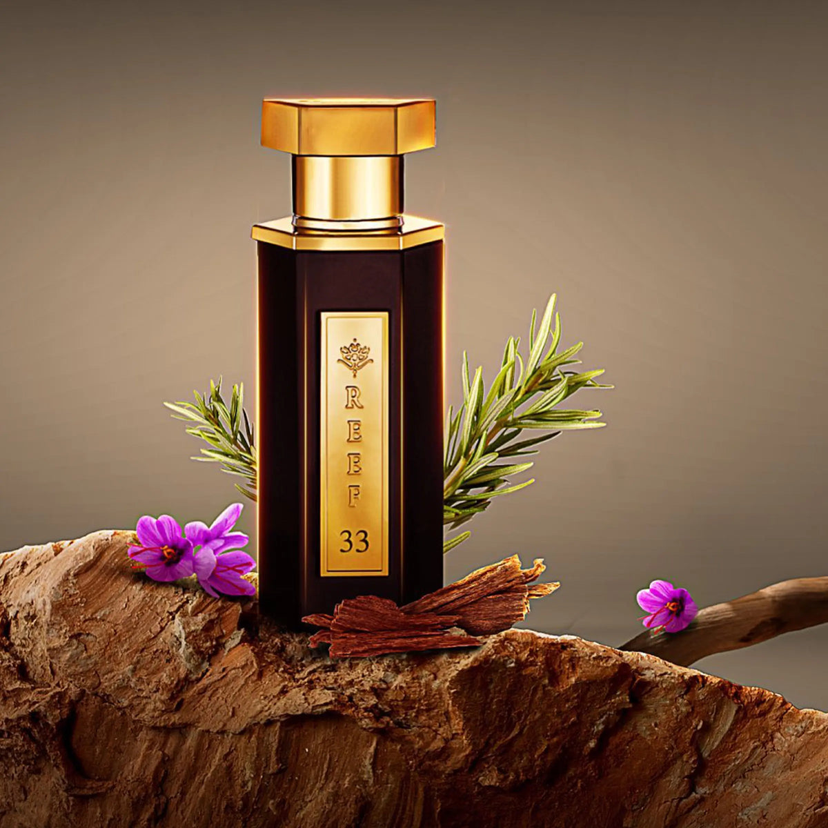Reef 33 EDP by Reef Perfumes | Woody fragrance