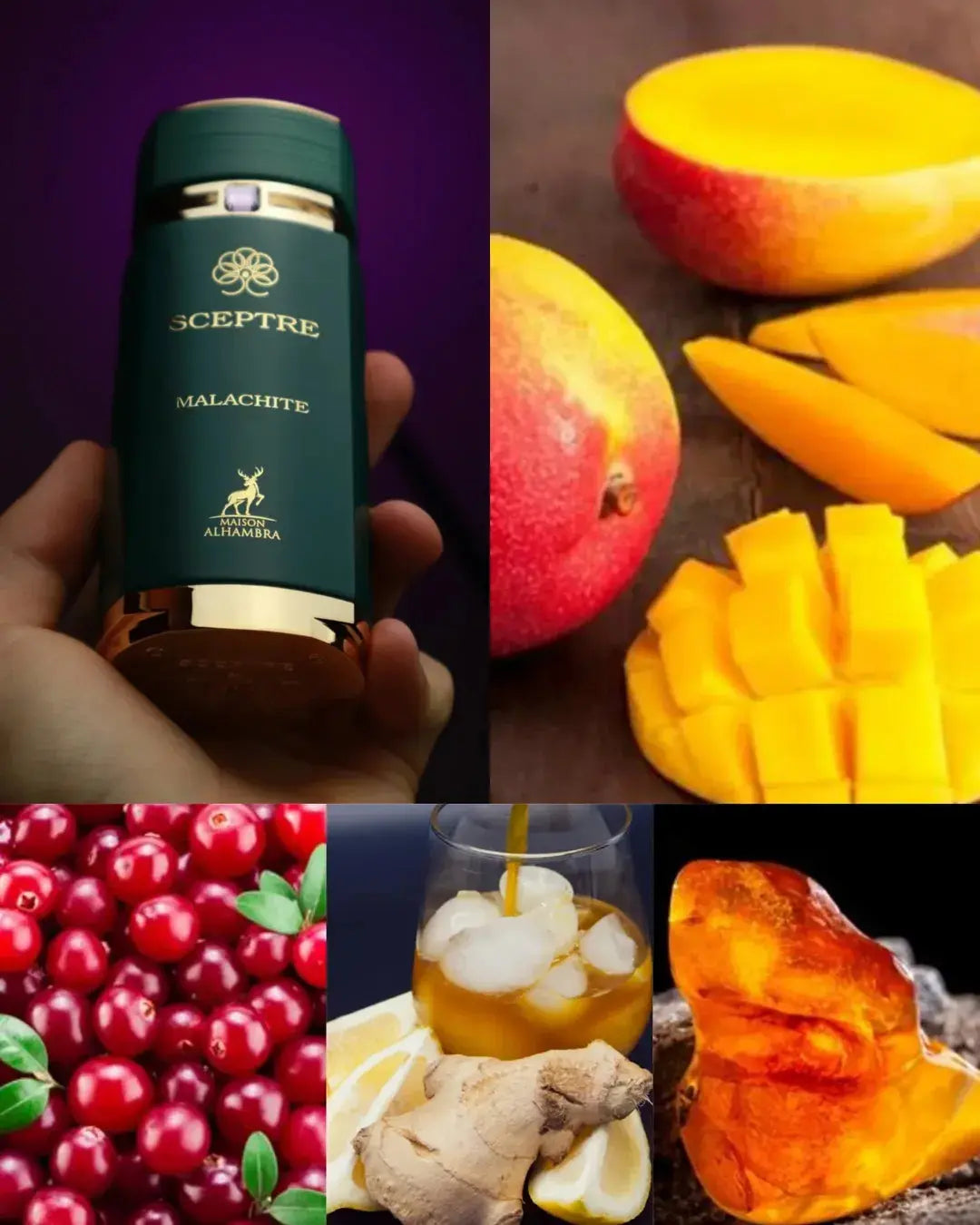 香水(男性用) MAISON ALHAMBRA SCEPTRE MALACHITE 100ml Sceptre Malachite Eau De Parfum By Maison Alhambra 100ml 3.4